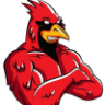 tejascardinal