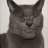 Lord Yabagucci